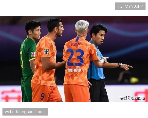 案例研讨：球场暴力事件发生在一次攻守转换引发的争议判罚后